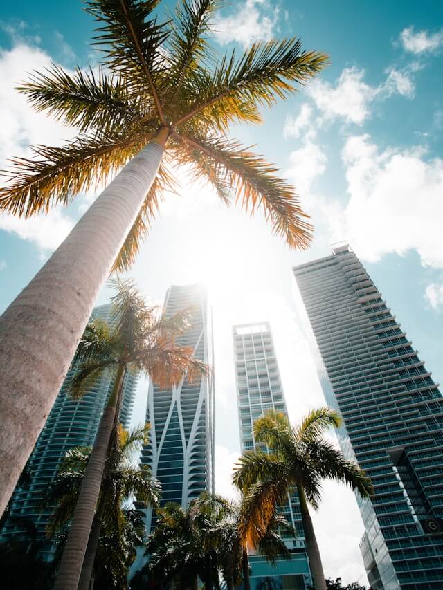 The Great Miami 10K
